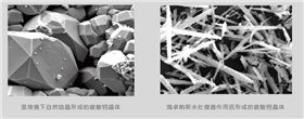 除垢后显微镜下的对比图