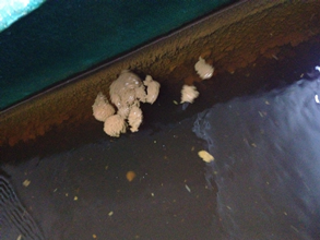 海卓帕斯电子除垢仪中水回用